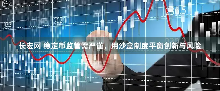 长宏网 稳定币监管需严谨，用沙盒制度平衡创新与风险
