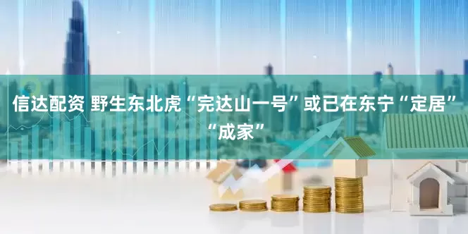 信达配资 野生东北虎“完达山一号”或已在东宁“定居”“成家”
