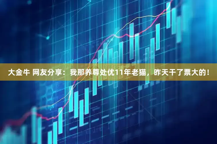 大金牛 网友分享：我那养尊处优11年老猫，昨天干了票大的！