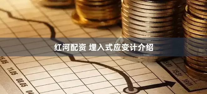 红河配资 埋入式应变计介绍