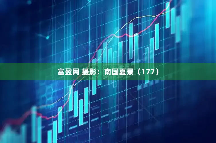 富盈网 摄影：南国夏景（177）