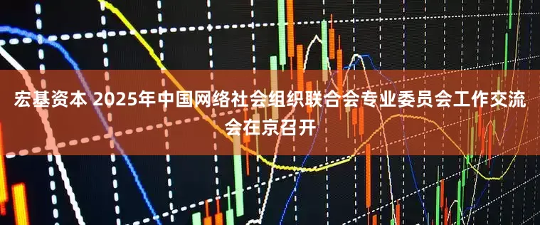 宏基资本 2025年中国网络社会组织联合会专业委员会工作交流会在京召开