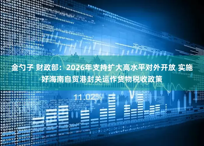 金勺子 财政部：2026年支持扩大高水平对外开放 实施好海南自贸港封关运作货物税收政策