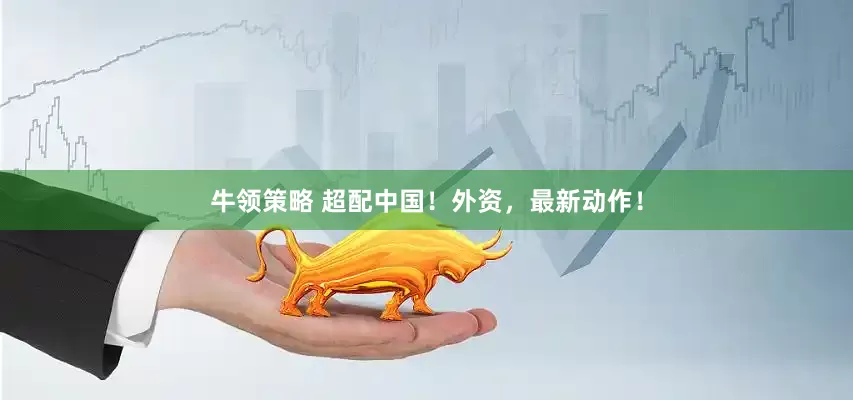 牛领策略 超配中国！外资，最新动作！